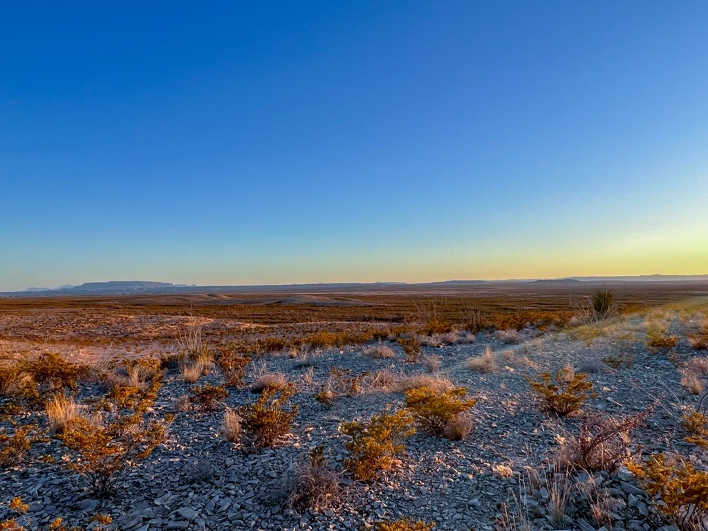 49405 State Hwy 118 S, Alpine, Texas image 16