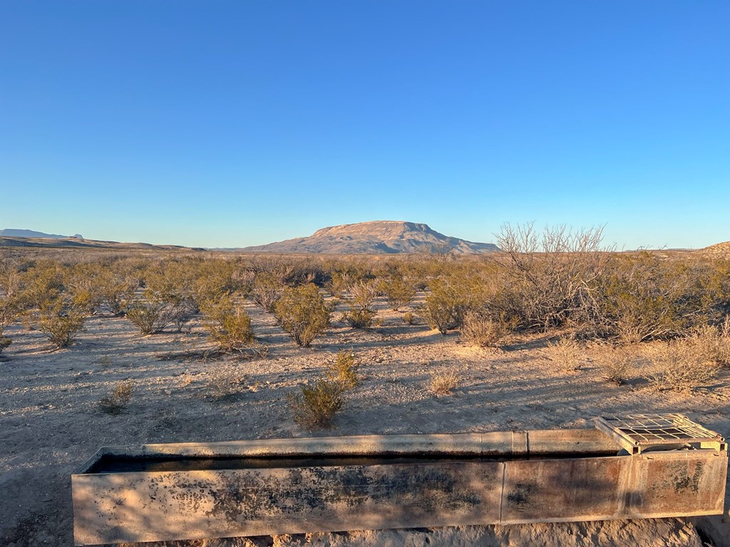 49405 State Hwy 118 S, Alpine, Texas image 15