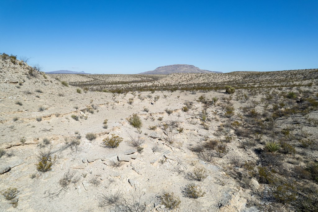 49405 State Hwy 118 S, Alpine, Texas image 24