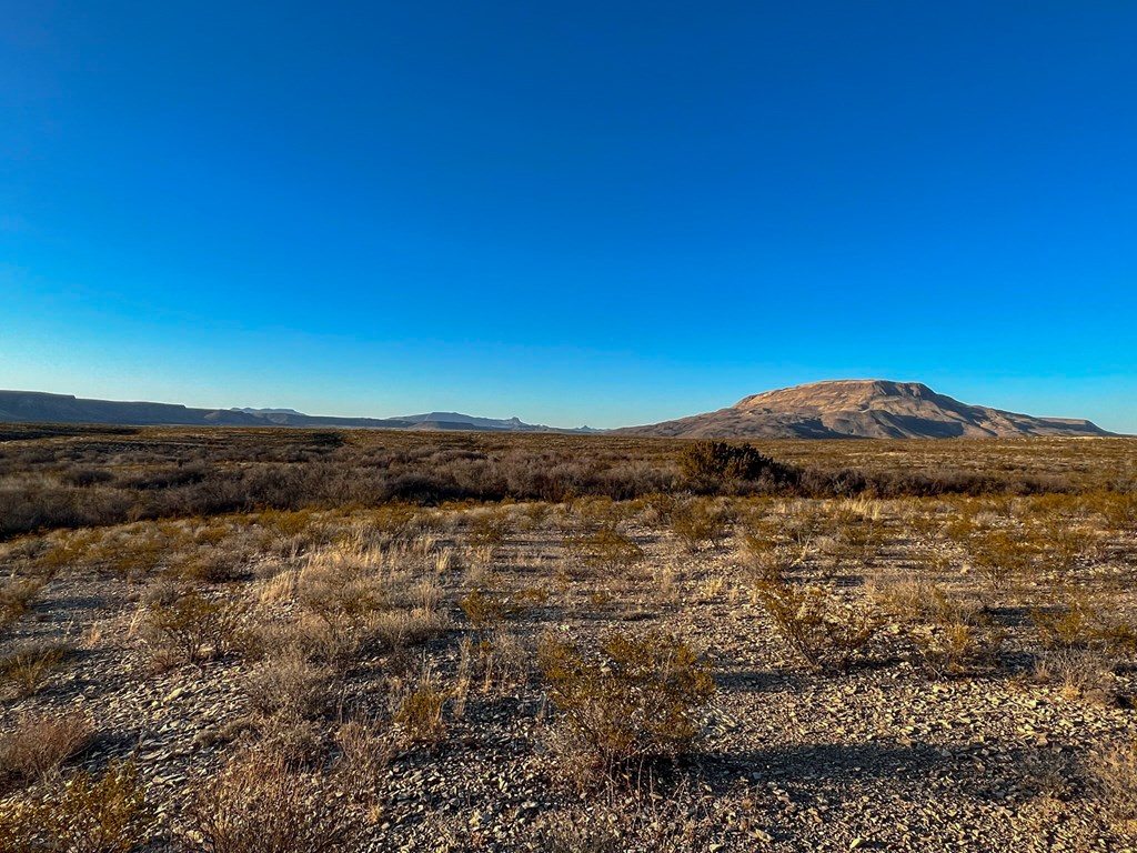 49405 State Hwy 118 S, Alpine, Texas image 14