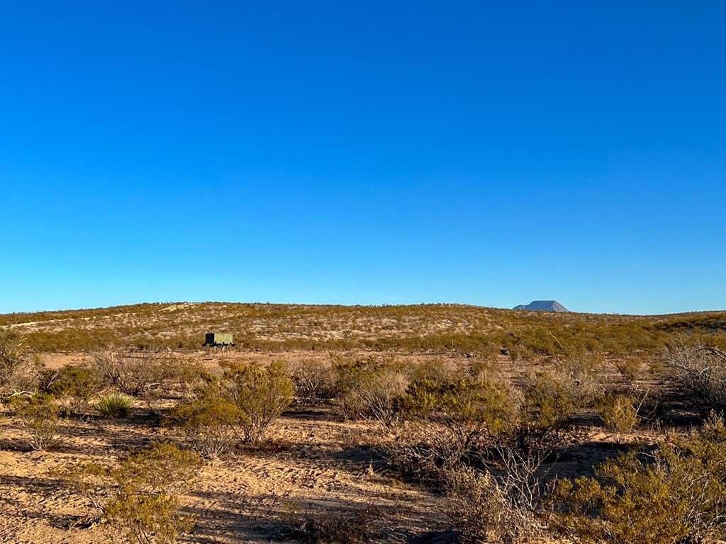 49405 State Hwy 118 S, Alpine, Texas image 13