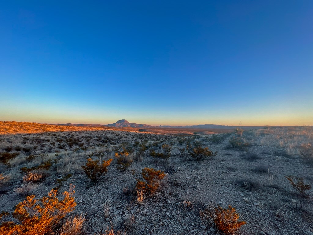 49405 State Hwy 118 S, Alpine, Texas image 19