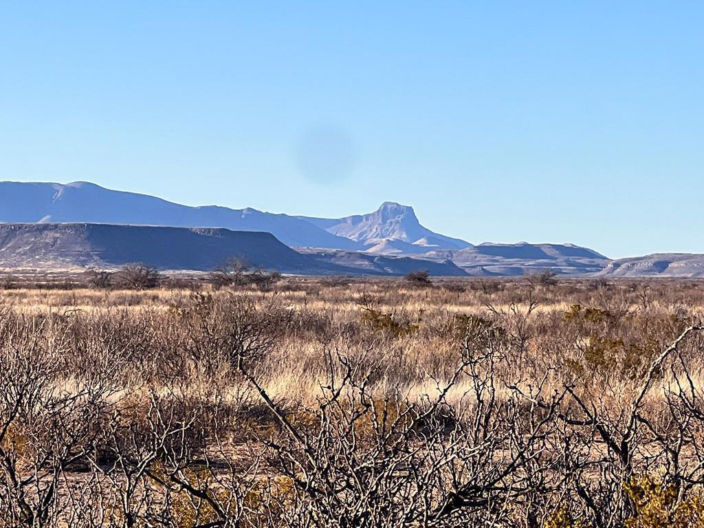 49405 State Hwy 118 S, Alpine, Texas image 1