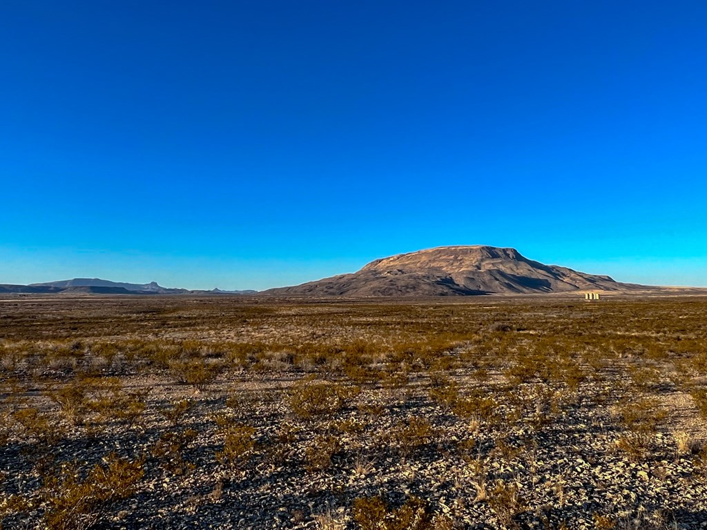 49405 State Hwy 118 S, Alpine, Texas image 12