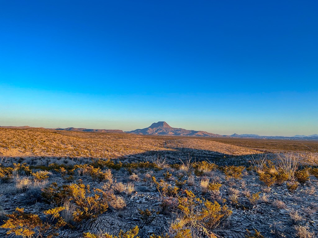 49405 State Hwy 118 S, Alpine, Texas image 18