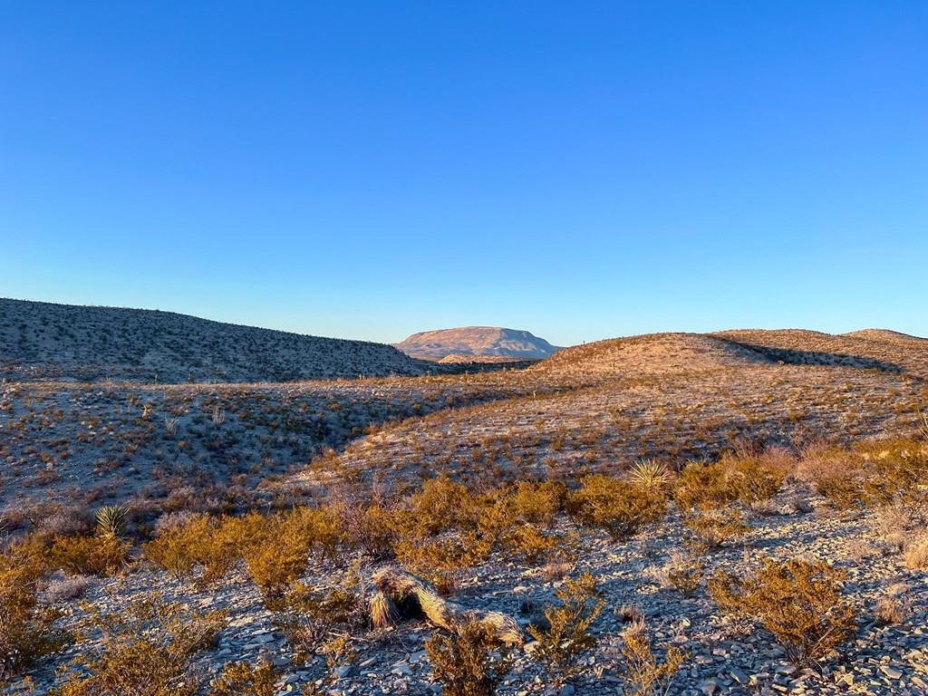 49405 State Hwy 118 S, Alpine, Texas image 2