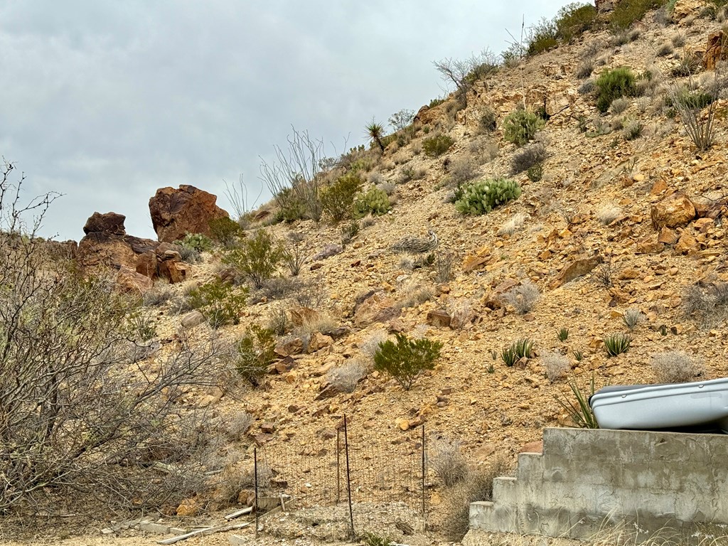 52995 Hwy 118, Terlingua, Texas image 12