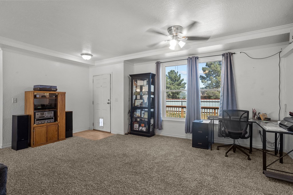 4365 N Sierra Ave, Odessa, Texas image 24