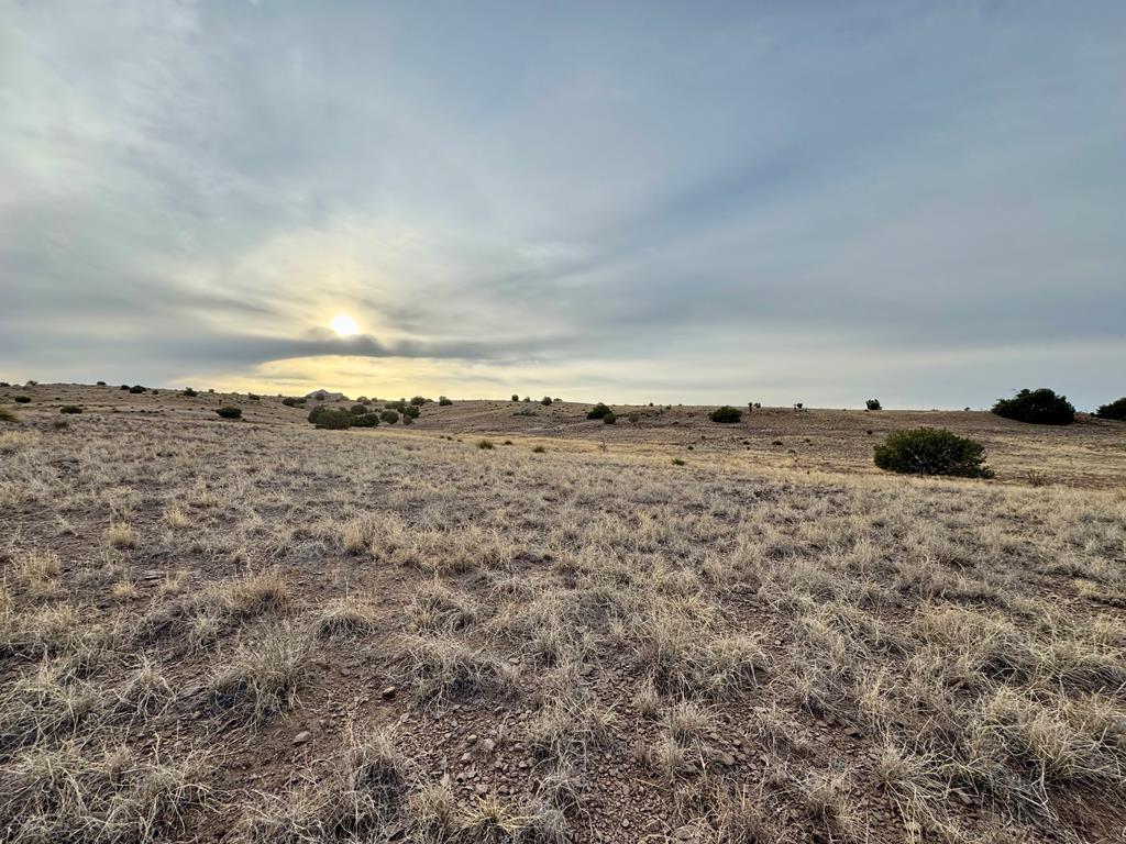 TBD Spring Creek Road, Alpine, Texas image 3