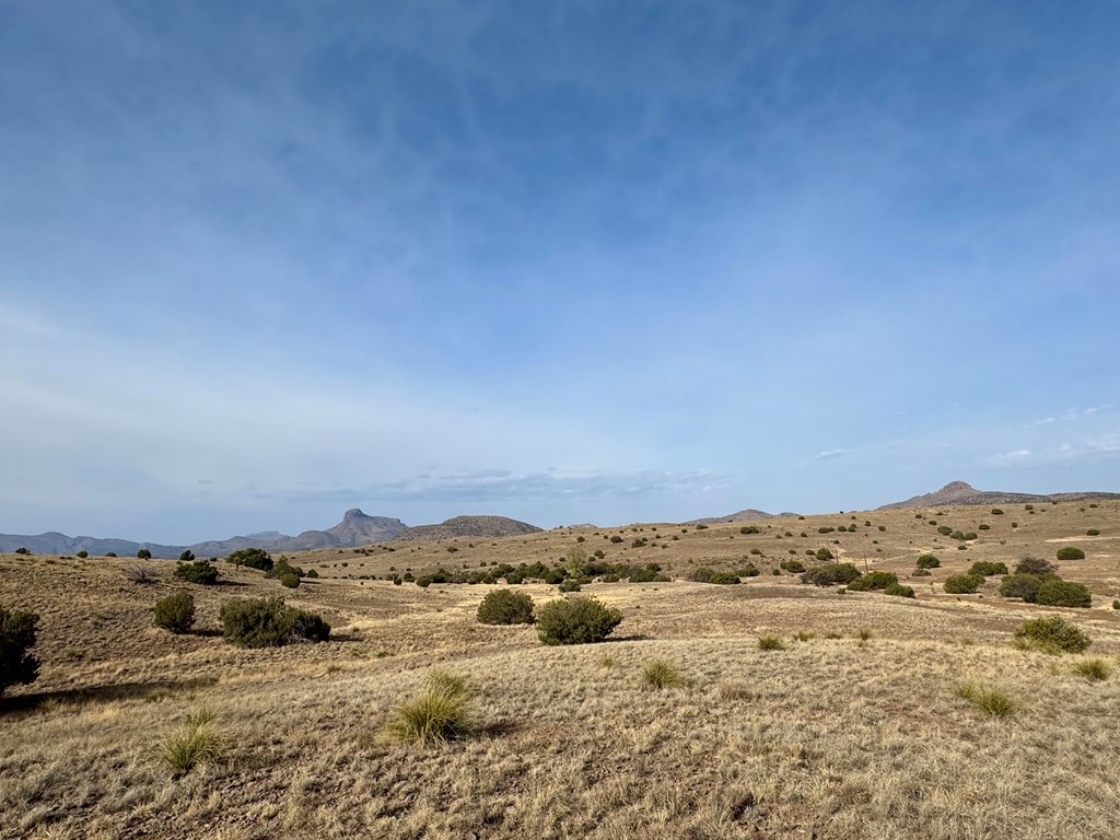 TBD Spring Creek Road, Alpine, Texas image 5