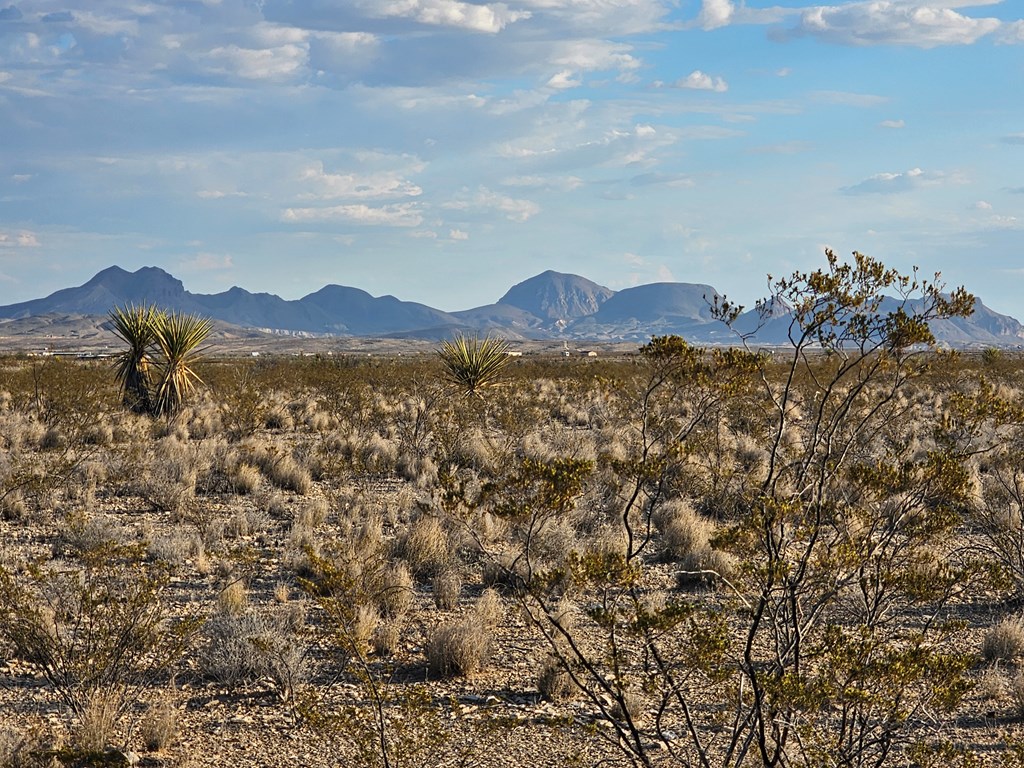 G 545 Dean Rd, Terlingua, Texas image 15