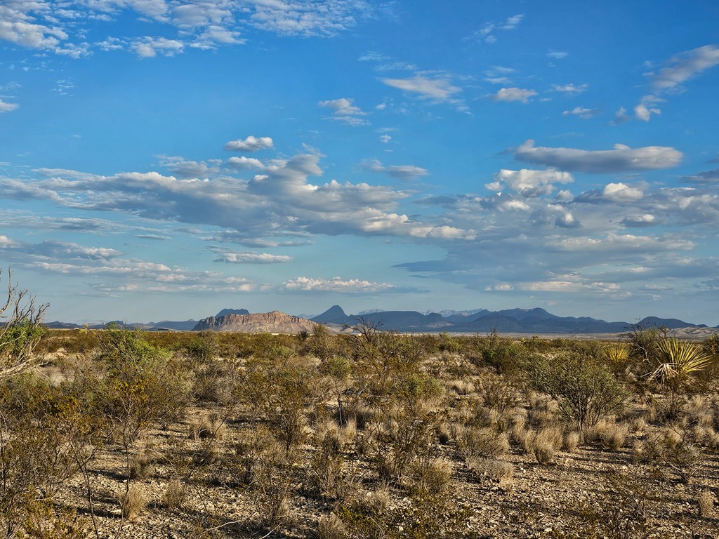 G 545 Dean Rd, Terlingua, Texas image 8