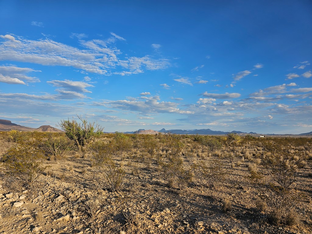 G 545 Dean Rd, Terlingua, Texas image 13