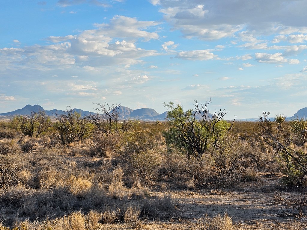 G 545 Dean Rd, Terlingua, Texas image 2