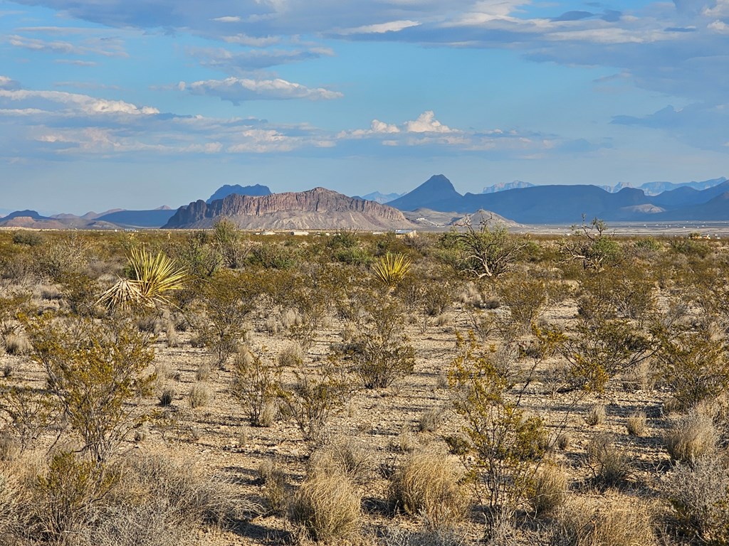 G 545 Dean Rd, Terlingua, Texas image 17