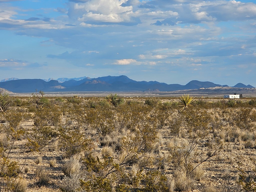 G 545 Dean Rd, Terlingua, Texas image 16