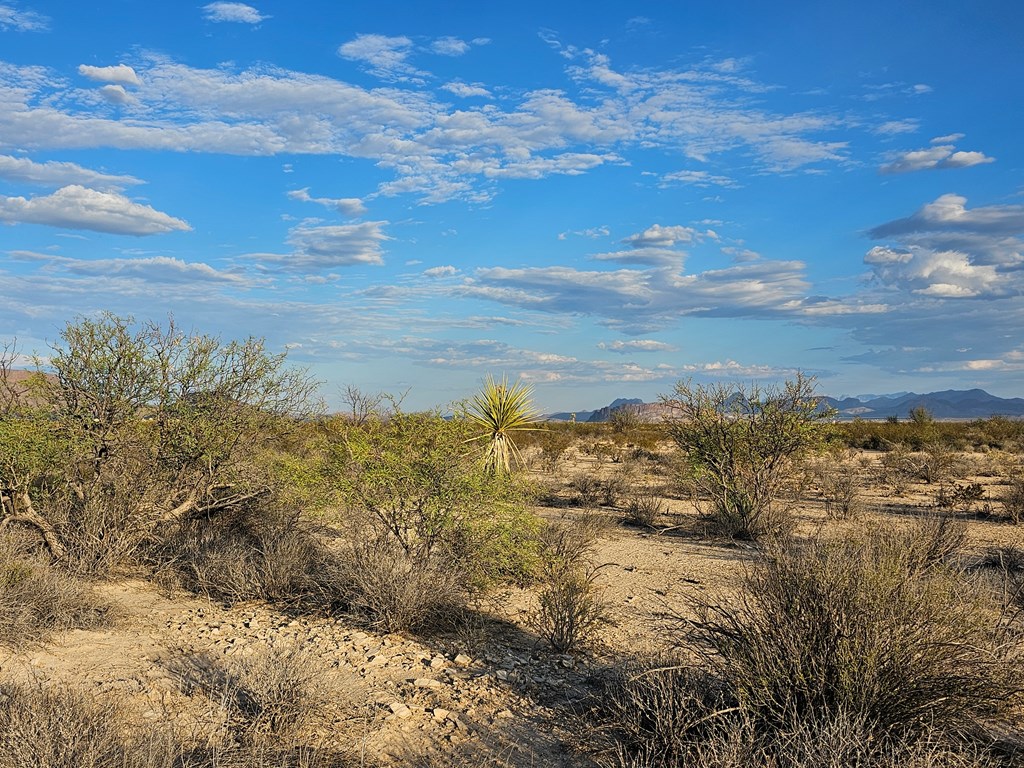 G 545 Dean Rd, Terlingua, Texas image 4