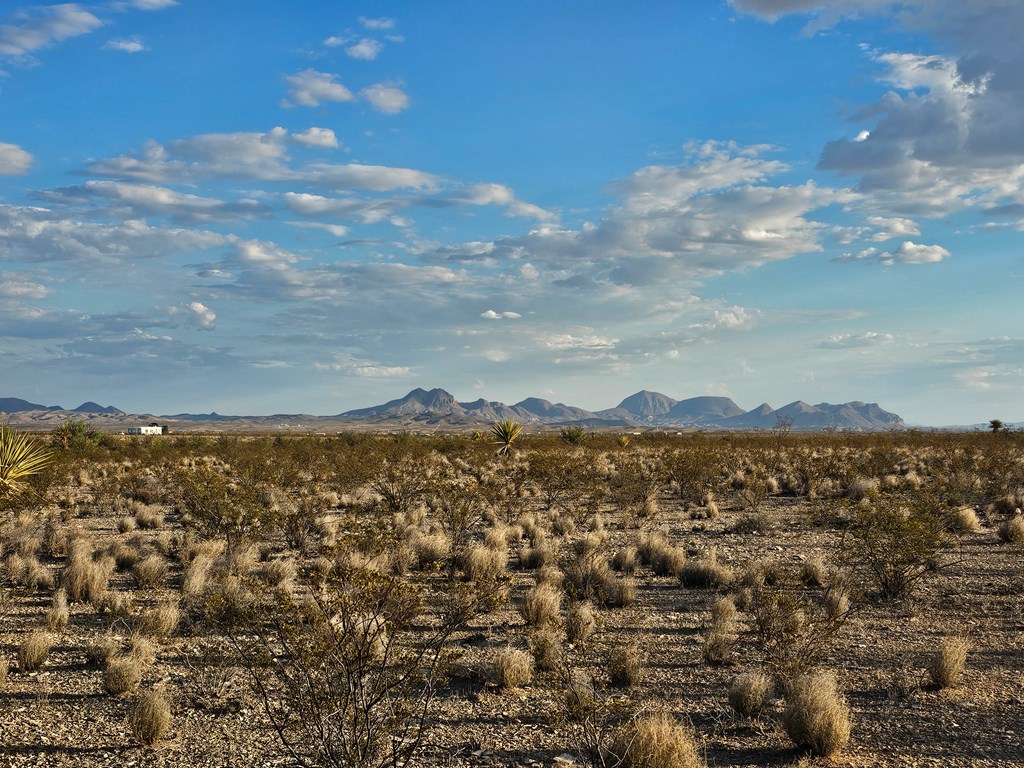 G 545 Dean Rd, Terlingua, Texas image 10