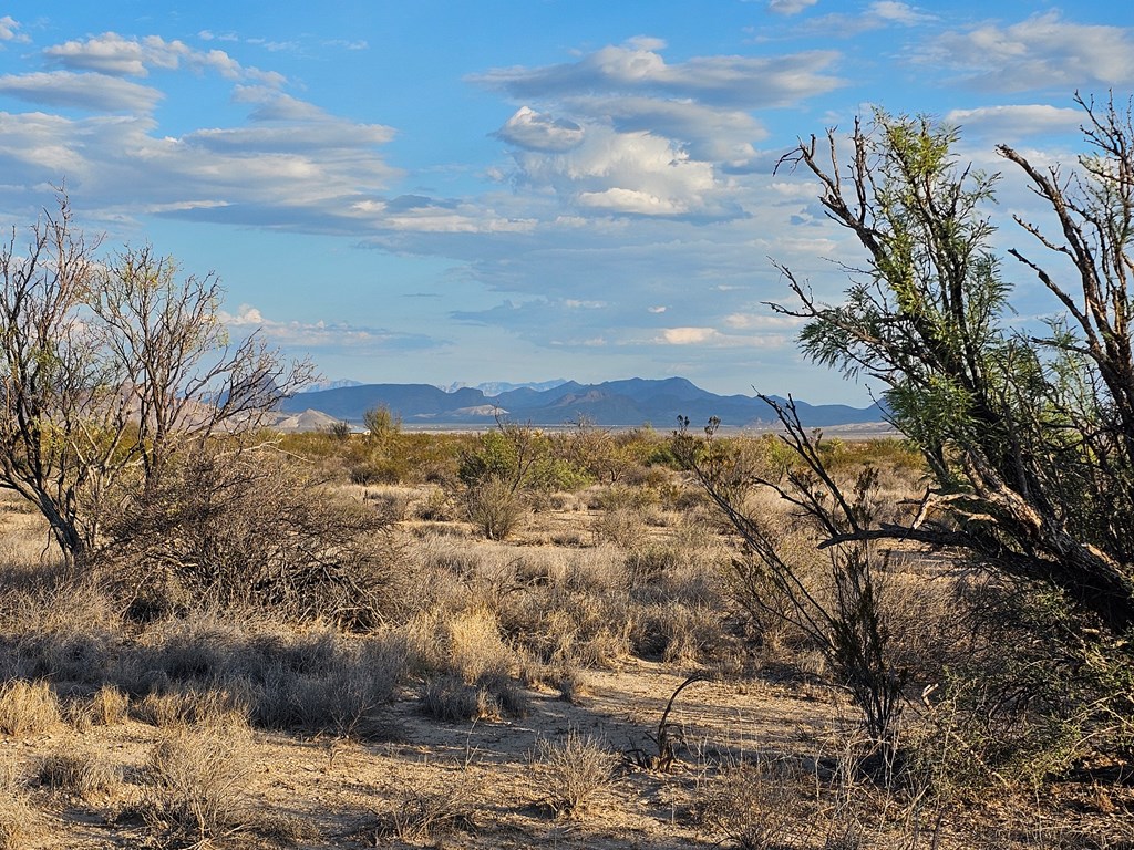 G 545 Dean Rd, Terlingua, Texas image 9