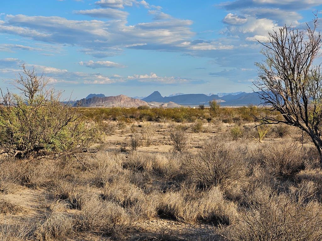 G 545 Dean Rd, Terlingua, Texas image 1