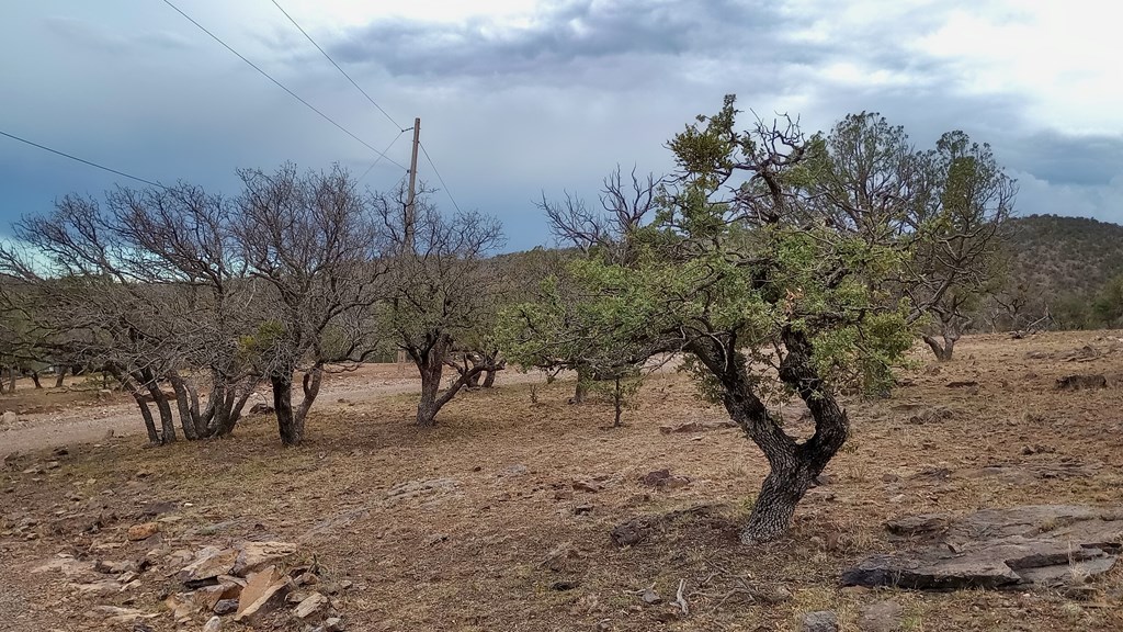 111 Saddlebag Trail #34 B, Fort Davis, Texas image 17