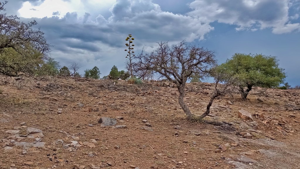 111 Saddlebag Trail #34 B, Fort Davis, Texas image 16