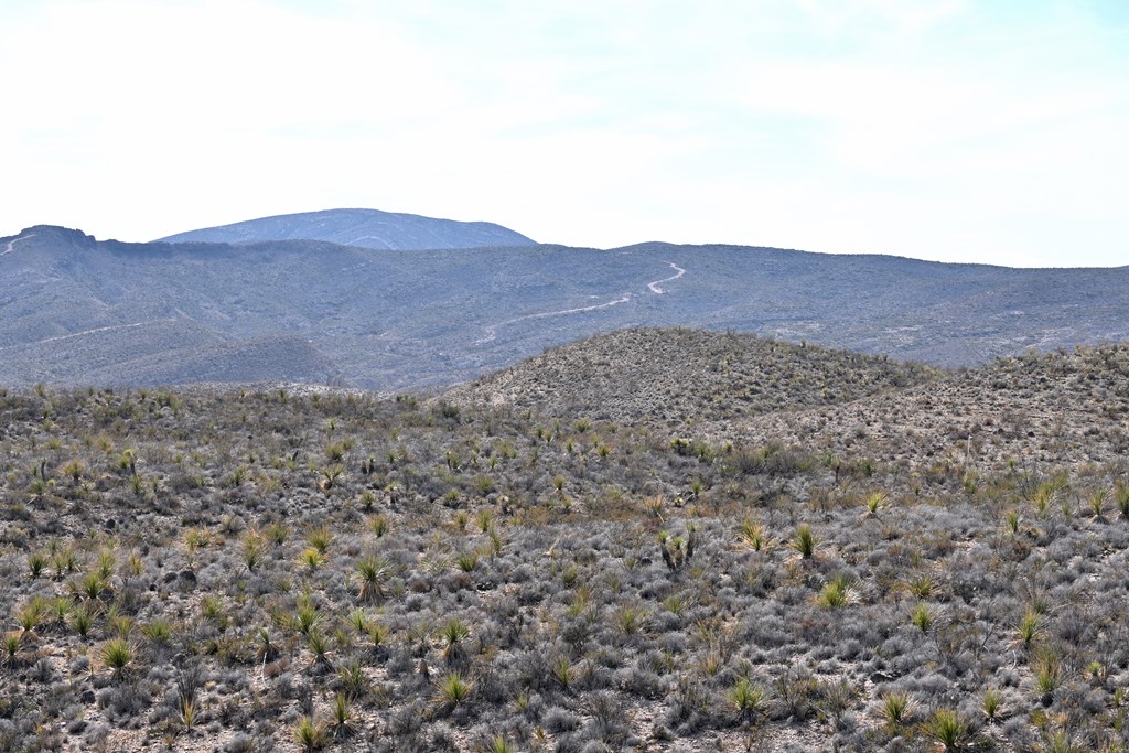 3066A Trammell Road, Terlingua, Texas image 6