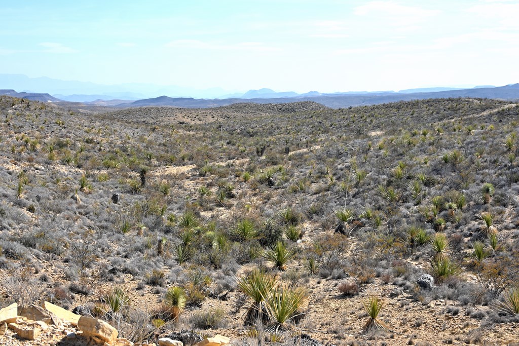 3066A Trammell Road, Terlingua, Texas image 27