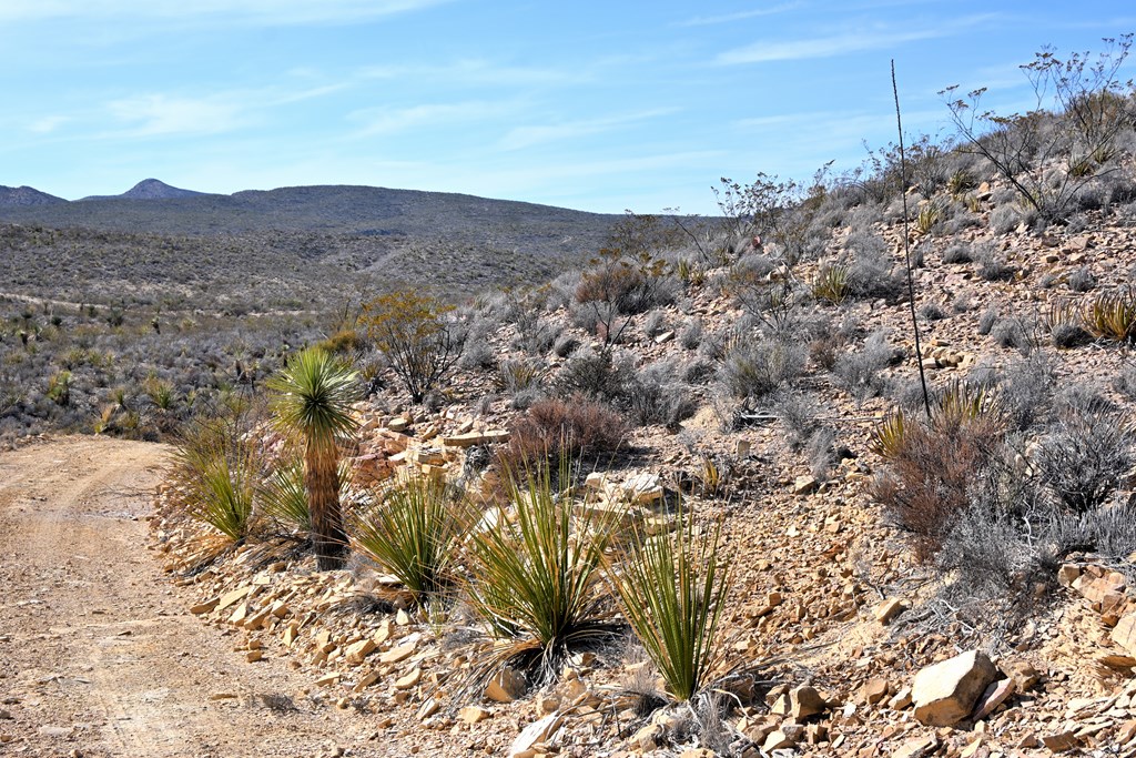 3066A Trammell Road, Terlingua, Texas image 21