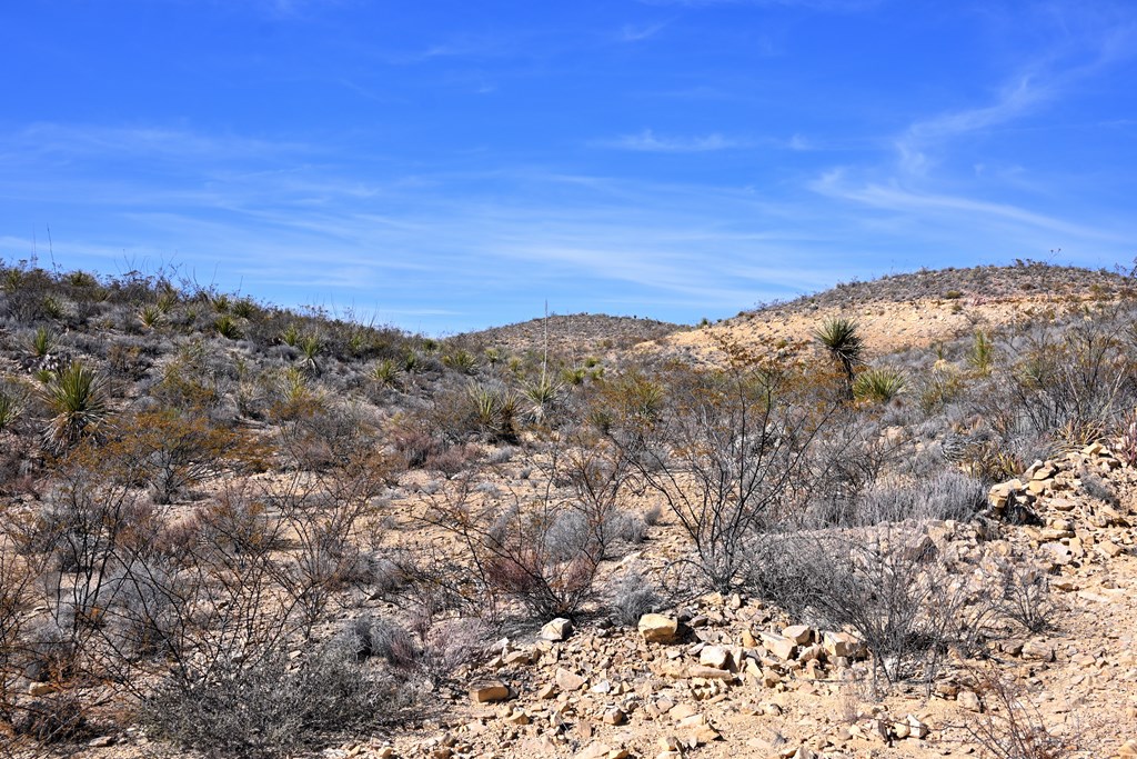 3066A Trammell Road, Terlingua, Texas image 8