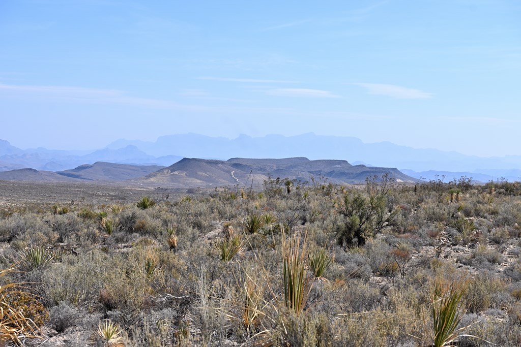 3066A Trammell Road, Terlingua, Texas image 2