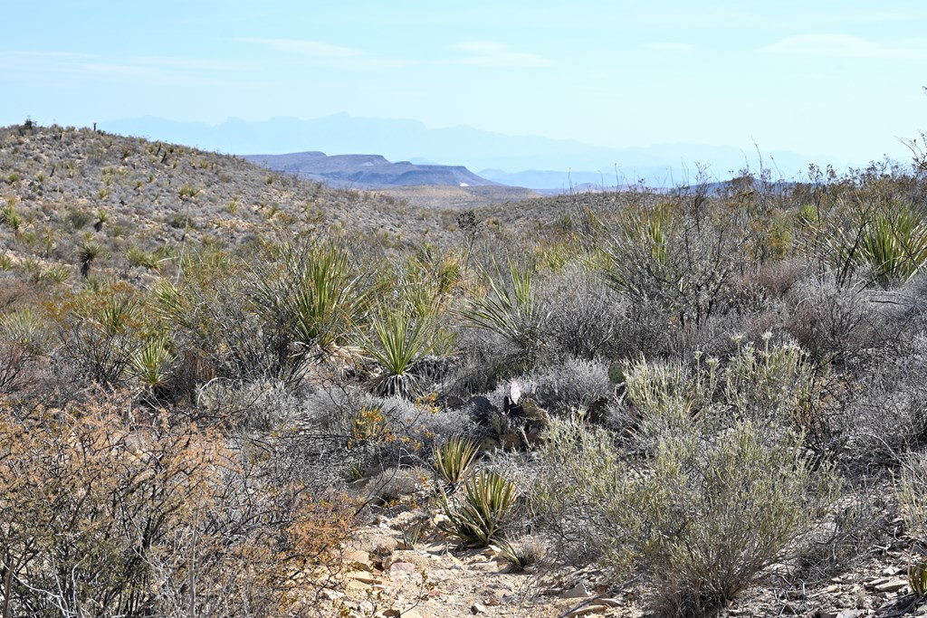 3066A Trammell Road, Terlingua, Texas image 26