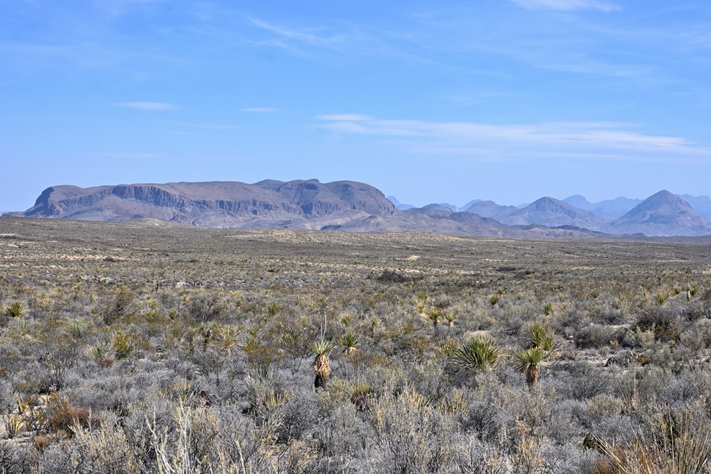 3066A Trammell Road, Terlingua, Texas image 13