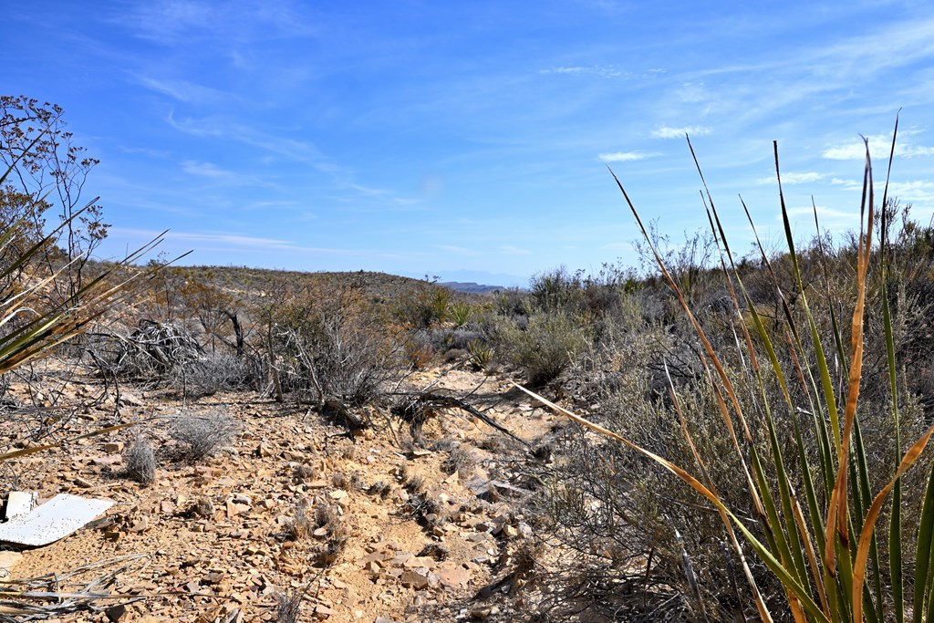 3066A Trammell Road, Terlingua, Texas image 25