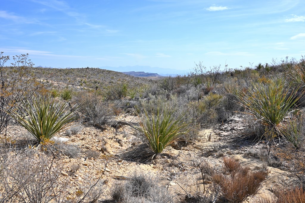 3066A Trammell Road, Terlingua, Texas image 23