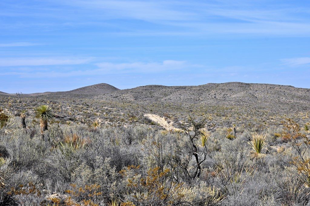 3066A Trammell Road, Terlingua, Texas image 14