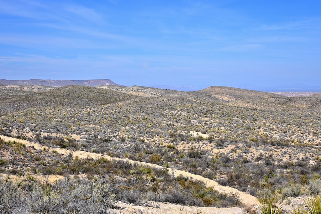 3066A Trammell Road, Terlingua, Texas image 20