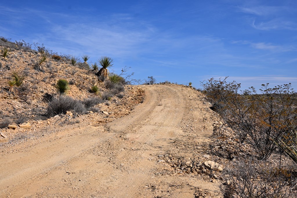 3066A Trammell Road, Terlingua, Texas image 24