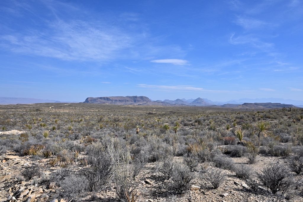 3066A Trammell Road, Terlingua, Texas image 12