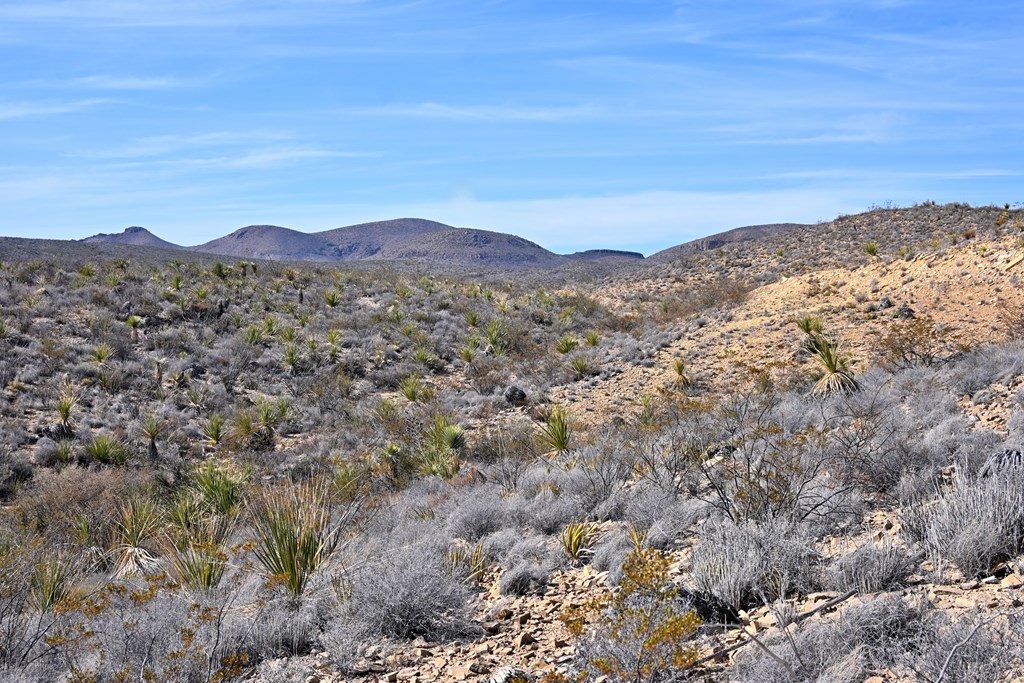 3066A Trammell Road, Terlingua, Texas image 10