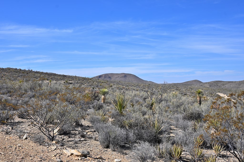 3066A Trammell Road, Terlingua, Texas image 17