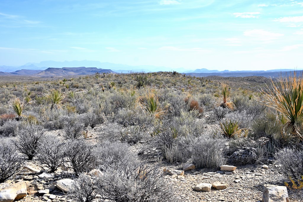 3066A Trammell Road, Terlingua, Texas image 29