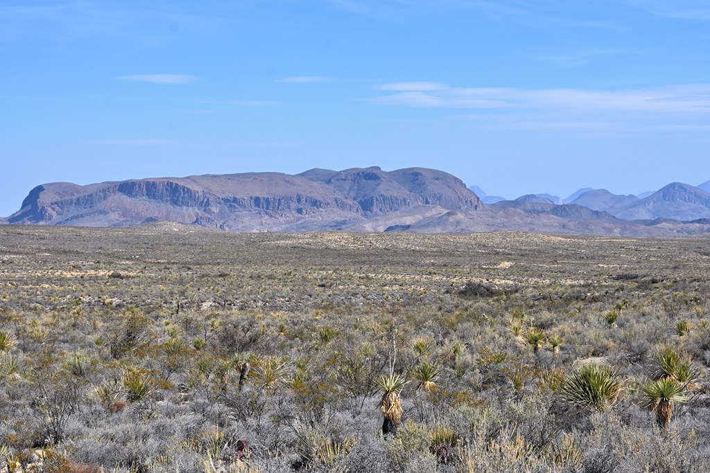 3066A Trammell Road, Terlingua, Texas image 4