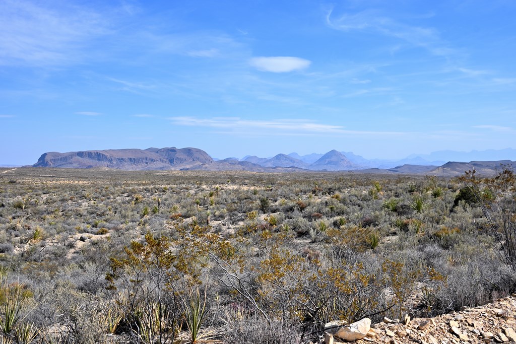 3066A Trammell Road, Terlingua, Texas image 19