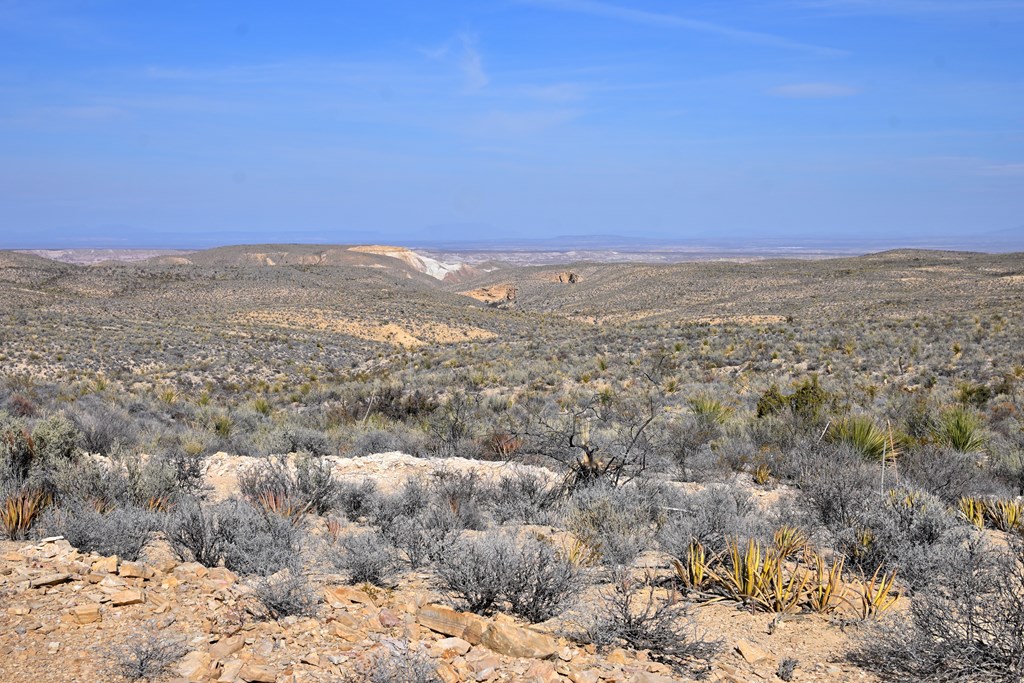 3066A Trammell Road, Terlingua, Texas image 3