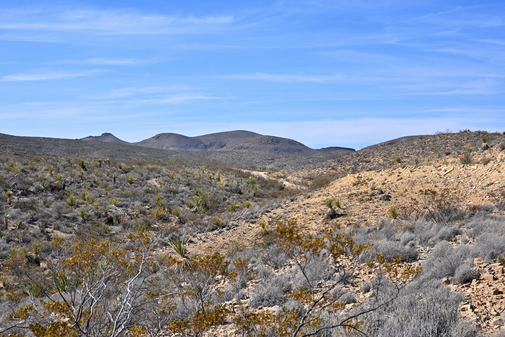 3066A Trammell Road, Terlingua, Texas image 5