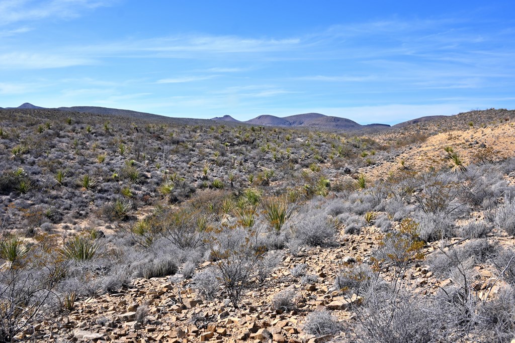 3066A Trammell Road, Terlingua, Texas image 9