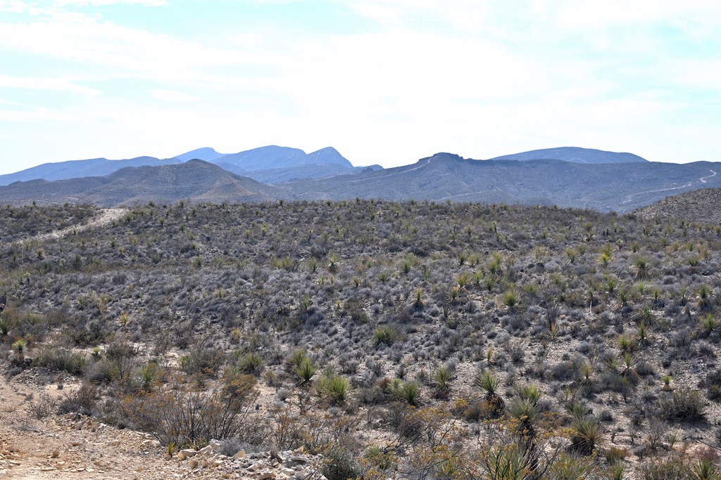 3066A Trammell Road, Terlingua, Texas image 11