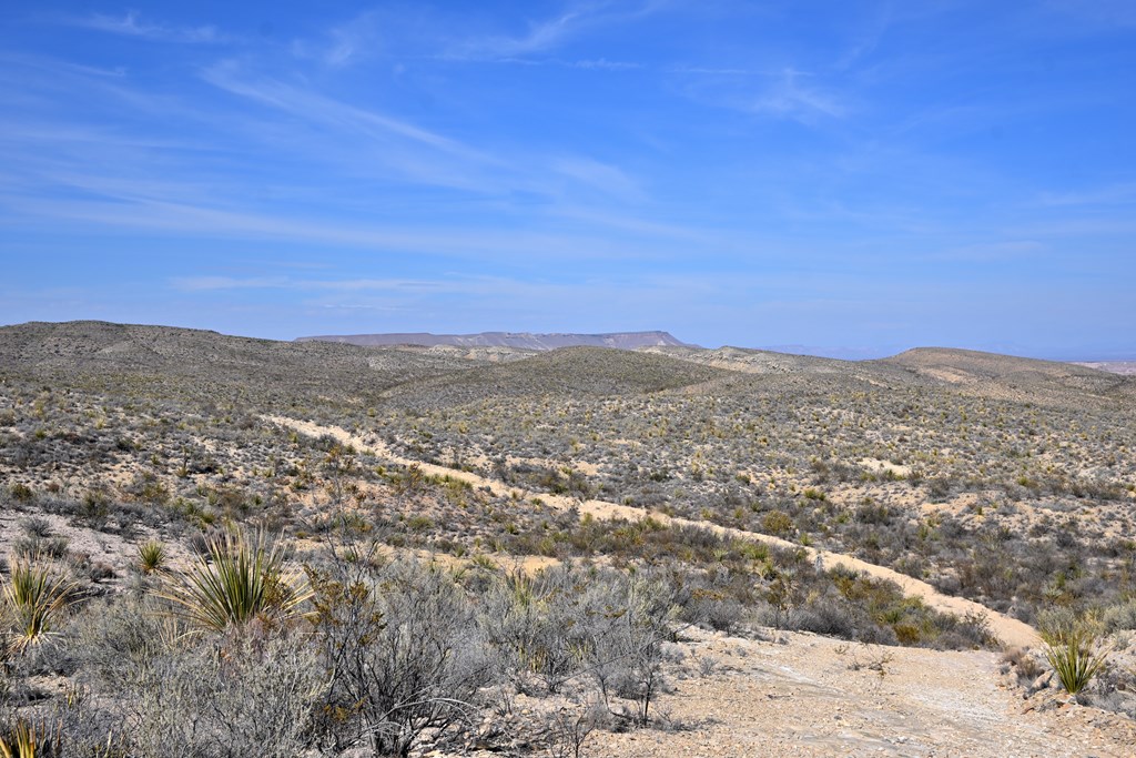 3066A Trammell Road, Terlingua, Texas image 18