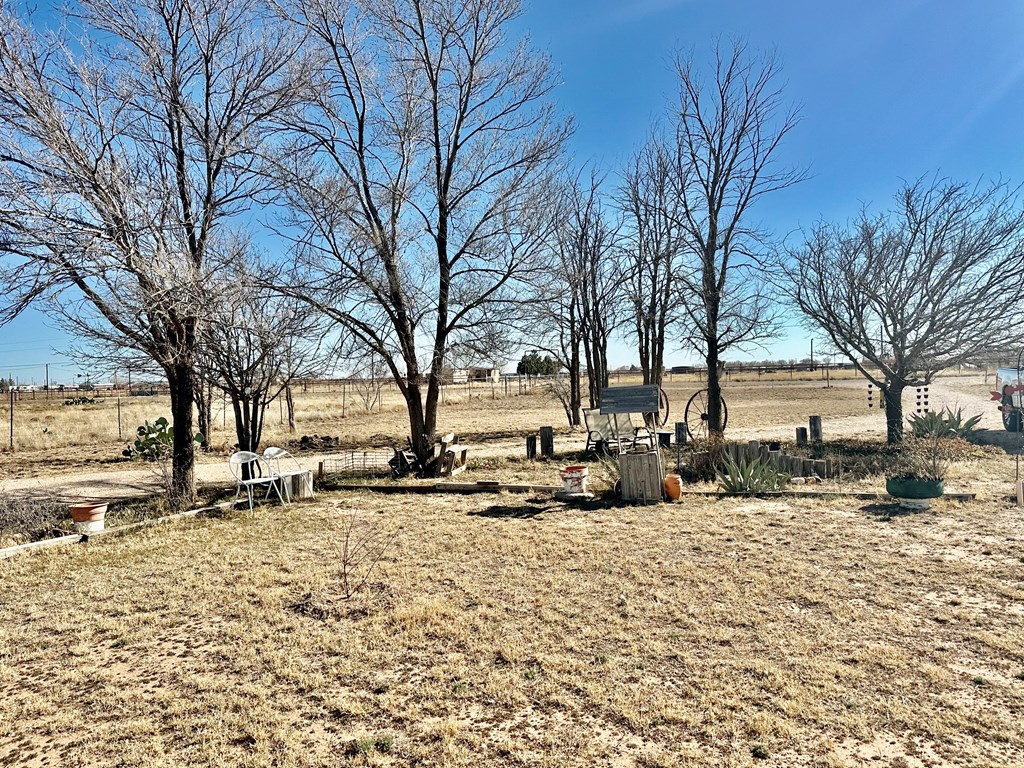 1262 County Rd 220-i, Denver City, Texas image 6